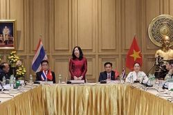 Mỗi kiều b&agrave;o l&agrave; đại diện cho h&igrave;nh ảnh đất nước, con người Việt Nam