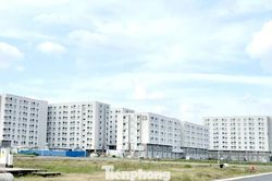 Cần Thơ chấp thuận 2 dự án nhà ở xã hội gần 6.000 tỷ đồng