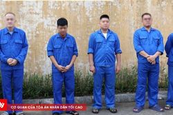 Triệt xóa 3 đường dây cá độ bóng đá, bắt giữ 21 đối tượng