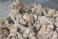 Tam thất bổ m&aacute;u nhưng 2 nh&oacute;m người cần thận trọng