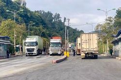 Yêu cầu các Chi cục Hải quan thông quan nhanh chóng đối với nông sản xuất khẩu