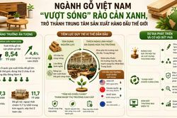 Gỗ Việt 'vượt sóng' rào cản xanh, trở thành trung tâm sản xuất hàng đầu thế giới