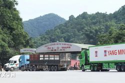 Cục Hải quan y&ecirc;u cầu th&ocirc;ng quan nhanh h&agrave;ng n&ocirc;ng sản xuất khẩu
