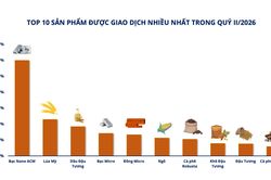 Thị trường giao dịch h&agrave;ng h&oacute;a qu&yacute; II: Thanh khoản điều chỉnh, thị trường tiếp tục tăng trưởng