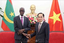 Việt Nam lu&ocirc;n tr&acirc;n trọng quan hệ hữu nghị, truyền thống với c&aacute;c quốc gia ch&acirc;u Phi