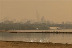 Th&agrave;nh phố Toronto (Canada) c&oacute; chất lượng kh&ocirc;ng kh&iacute; k&eacute;m nhất thế giới do ch&aacute;y rừng