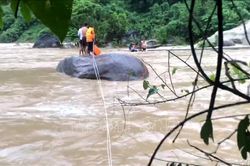 Cứu sống 3 người dân mắc kẹt giữa dòng nước lũ