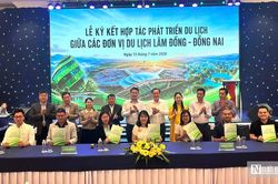 Từ kết nối doanh nghiệp đến mở rộng thị trường khách du lịch giữa Lâm Đồng và Đồng Nai