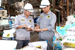 Phân bón Bình Điền chi hơn 200 tỷ đồng trả cổ tức tiền mặt 2025