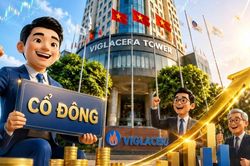 Gần 1.000 tỷ đồng sắp 'chảy' về t&uacute;i cổ đ&ocirc;ng Viglacera