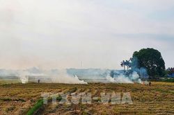 Thành phố Huế tăng cường kiểm soát tình trạng đốt rơm rạ