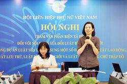 Đề xuất các định hướng sửa đổi toàn diện Luật Bình đẳng giới