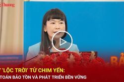 Giữ 'lộc trời' từ chim Yến: B&agrave;i to&aacute;n bảo tồn v&agrave; ph&aacute;t triển bền vững