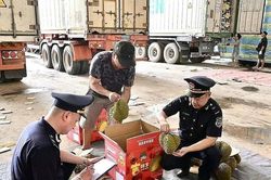 Kịp thời hỗ trợ, tạo thuận lợi cho h&agrave;ng n&ocirc;ng sản xuất khẩu