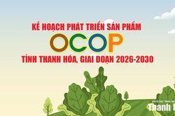 Kế hoạch phát triển sản phẩm OCOP tỉnh thanh hóa, giai đoạn 2026-2030