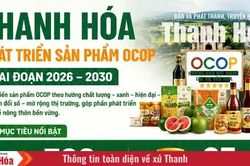 Thanh Hóa đặt mục tiêu phát triển 328 sản phẩm OCOP giai đoạn 2026-2030