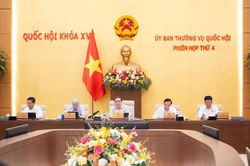 Tạo cơ sở pháp lý để bưu chính trở thành hạ tầng thiết yếu của quốc gia