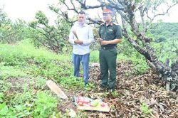 Bắc Ninh: Nhân chứng lịch sử dẫn lối hành trình quy tập liệt sĩ