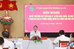 Phường An Hải thu ngân sách 6 tháng đầu năm đạt hơn 1.829 tỷ đồng