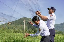 Tìm hướng đi cho ngành yến