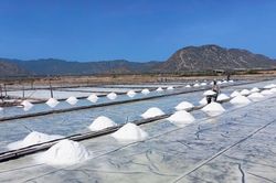 Xã Ninh Hải: Hướng tới nâng cao giá trị hạt muối