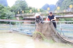 Bảo vệ thủy sản mùa bão