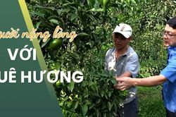 Người nặng lòng với quê hương