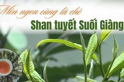Món ngon cùng lá chè Shan tuyết Suối Giàng