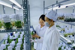 Lâm Đồng hướng đến nền nông nghiệp số tạo động lực tăng trưởng mới