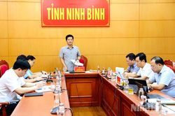 Đẩy nhanh tiến độ triển khai các Dự án Nhà ở xã hội và nhà ở cho thuê