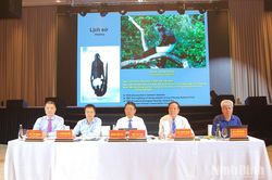 Hội thảo quốc tế 'Đánh giá các giá trị nổi bật toàn cầu và định hướng xây dựng Hồ sơ đề cử Di sản thế giới khu Cảnh quan văn hóa - sinh thái Voọc mông trắng Vân Long - Kim Bảng - Tam Chúc'