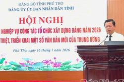 Đảng ủy UBND tỉnh: Tập huấn nghiệp vụ c&ocirc;ng t&aacute;c tổ chức x&acirc;y dựng Đảng
