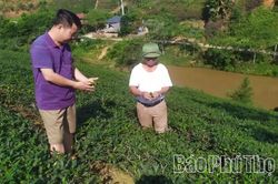 Ph&aacute;t triển kinh tế tập thể ở Minh Đ&agrave;i