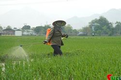 Giảm phát thải khí nhà kính trong sản xuất nông nghiệp