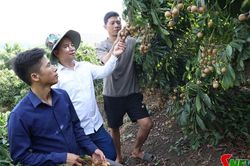 Điểm sáng 'Chi bộ 4 tốt' bên dòng sông Mã