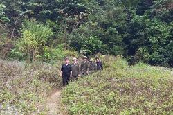 An to&agrave;n khi l&agrave;m việc trong rừng