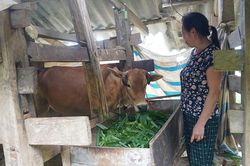Triển vọng từ m&ocirc; h&igrave;nh sinh kế cho người ngh&egrave;o