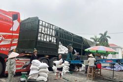 Điểm sáng trong xuất cấp và bảo quản an toàn hàng dự trữ quốc gia