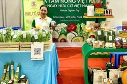 Cạnh tranh xuất khẩu nông sản bằng chất lượng và minh bạch chuỗi sản xuất