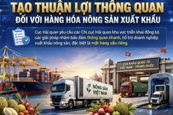 Hải quan ban h&agrave;nh c&ocirc;ng văn khẩn ưu ti&ecirc;n th&ocirc;ng quan n&ocirc;ng sản xuất khẩu