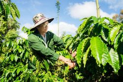 Cuộc đua sở hữu dữ liệu v&ugrave;ng trồng