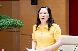 Thẩm tra sơ bộ dự án Bộ luật Tố tụng hình sự (sửa đổi)