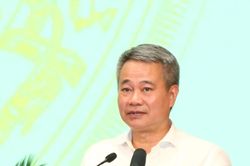 Đại biểu HĐND tỉnh Thanh Hóa Trịnh Xuân Phú: Số liệu thống kê phải phản ánh đúng thực tiễn, là cơ sở để các địa phương xây dựng kịch bản tăng trưởng