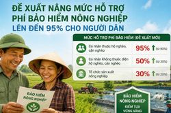 Đề xuất nâng mức hỗ trợ phí bảo hiểm nông nghiệp lên đến 95% cho người dân