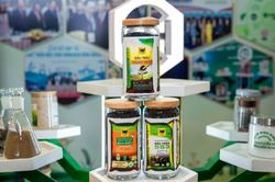 Phân bón Bình Điền sắp chi hơn 200 tỷ đồng trả cổ tức