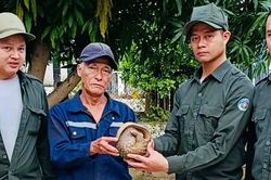 Đà Nẵng tăng cường công tác quản lý, bảo vệ rừng phòng hộ