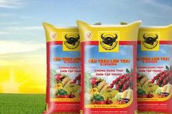 Phân bón Bình Điền (BFC) chốt quyền trả cổ tức tiền mặt 35%, dự chi hơn 200 tỷ đồng