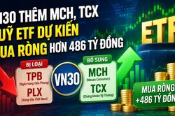 VN30 bổ sung MCH v&agrave; TCX, d&ograve;ng tiền ETF dự kiến mua r&ograve;ng hơn 486 tỷ đồng