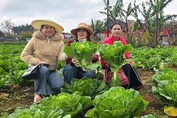 Tăng cường quản lý mã số vùng trồng, cơ sở đóng gói nâng cao năng lực cạnh tranh nông sản