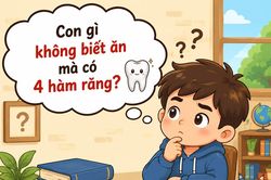 Con gì không biết ăn mà có 4 hàm răng?